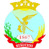 FC Ursidos Stauceni