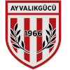 Ayvalikgucu Belediyespor