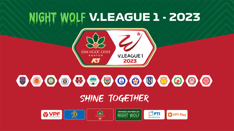Giải đấu b&oacute;ng đ&aacute; v&ocirc; địch quốc gia Việt Nam - V League