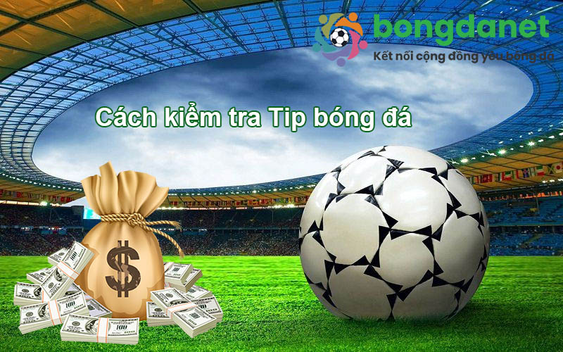 C&aacute;ch kiểm tra tips b&oacute;ng đ&aacute; c&oacute; thực sự uy t&iacute;n hay kh&ocirc;ng