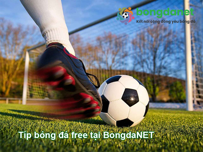 Tip b&oacute;ng đ&aacute; miễn ph&iacute; tại TheThaoBetVN