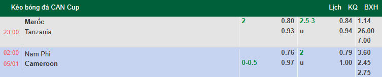 Nhận định, soi kèo Nam Phi vs Cameroon, 2h00 ngày 5/1: Kịch chiến - Ảnh 1
