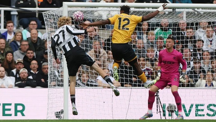 Nhận định, soi kèo Wolves vs Newcastle, 21h00 ngày 18/1: Phong độ đang lên - Ảnh 9