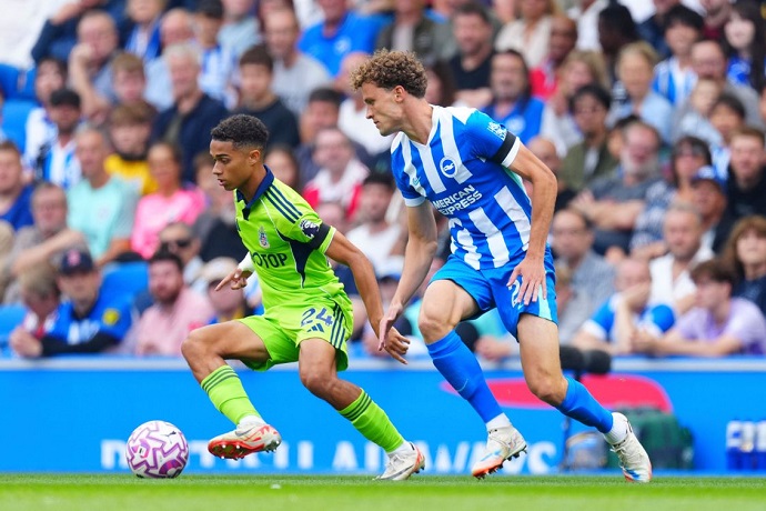 Siêu máy tính dự đoán Fulham vs Brighton, 22h00 ngày 24/1 - Ảnh 1