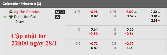 Nhận định, soi kèo Rionegro Aguilas vs Deportivo Cali, 4h00 ngày 30/1: Chiến thắng đầu tay - Ảnh 5