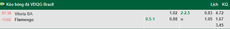 Nhận định, soi kèo Vitoria vs Flamengo, 7h30 ngày 11/2: Đẳng cấp nhà vua - Ảnh 1