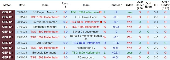 Nhận định, soi kèo Hoffenheim vs Freiburg, 21h30 ngày 14/2: Giữ chắc Top 4 - Ảnh 1
