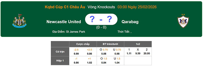 Nhận định, soi kèo Newcastle vs Qarabag, 3h ngày 25/2: Áp đảo - Ảnh 1