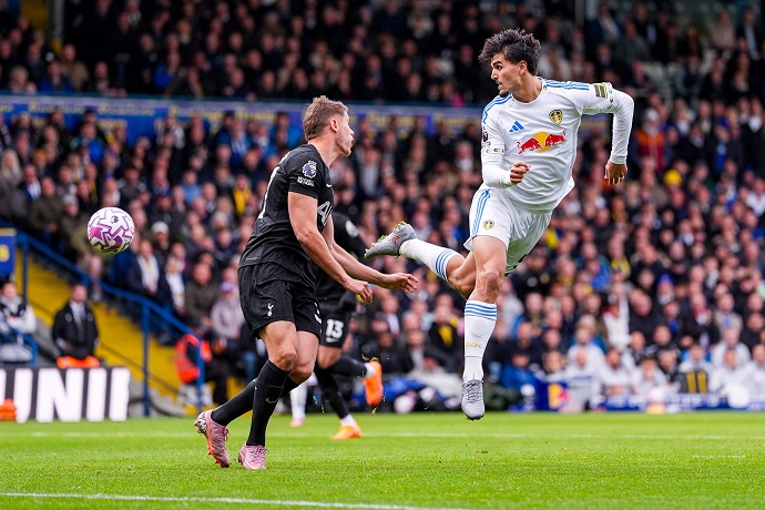Chuy&ecirc;n gia Tony Ansell dự đo&aacute;n Tottenham vs Leeds, 2h00 ng&agrave;y 12/5 - Ảnh 2