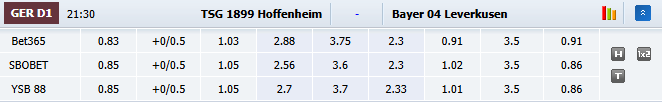 Nhận định, soi kèo Hoffenheim vs Bayer Leverkusen, 21h30 ngày 25/10: Khách đòi nợ - Ảnh 1