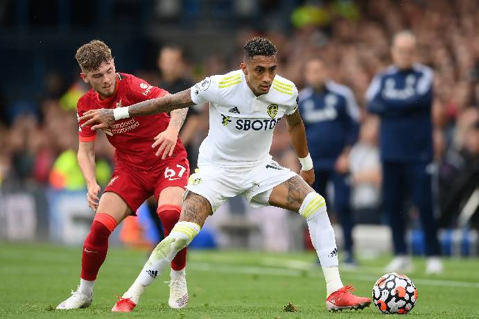 Chuyên gia Tony Ansell dự đoán Liverpool vs Leeds, 0h30 ngày 2/1