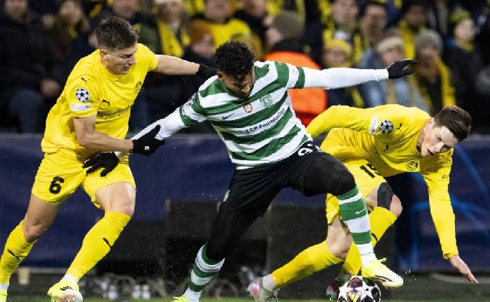 Nhận định, soi kèo Sporting vs Bodo/Glimt, 00h45 ngày 18/3: Viết tiếp câu chuyện cổ tích