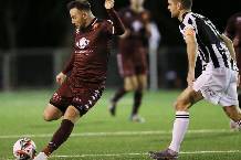 Nhận định, soi kèo Bulleen Lions vs Springvale White Eagles, 16h00 ngày 2/4: Lịch sử gọi tên